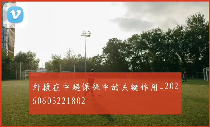外援在中超保级中的关键作用_20260603221802