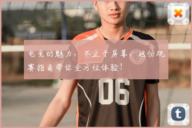 电竞的魅力，不止于屏幕，这份观赛指南带你全方位体验！
