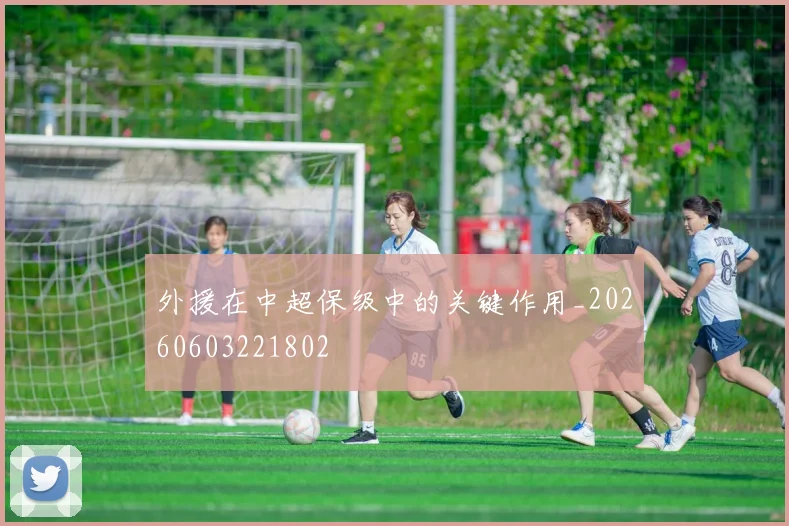 外援在中超保级中的关键作用_20260603221802