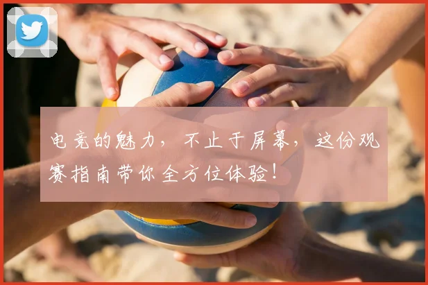 电竞的魅力，不止于屏幕，这份观赛指南带你全方位体验！